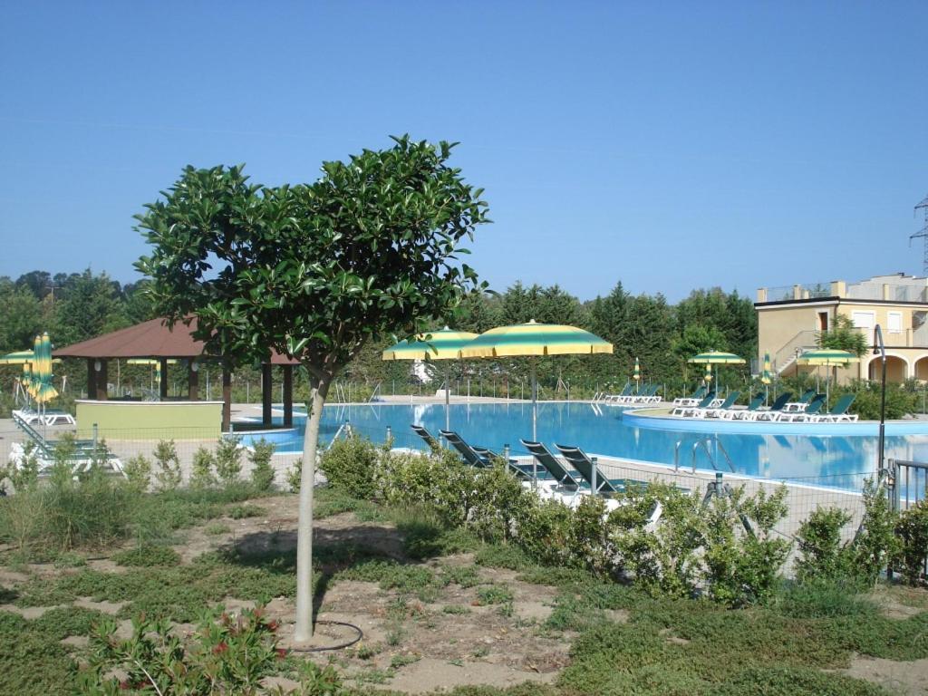 Sonia Pizzo Beach Club Pizzo (Calabria) Exterior foto